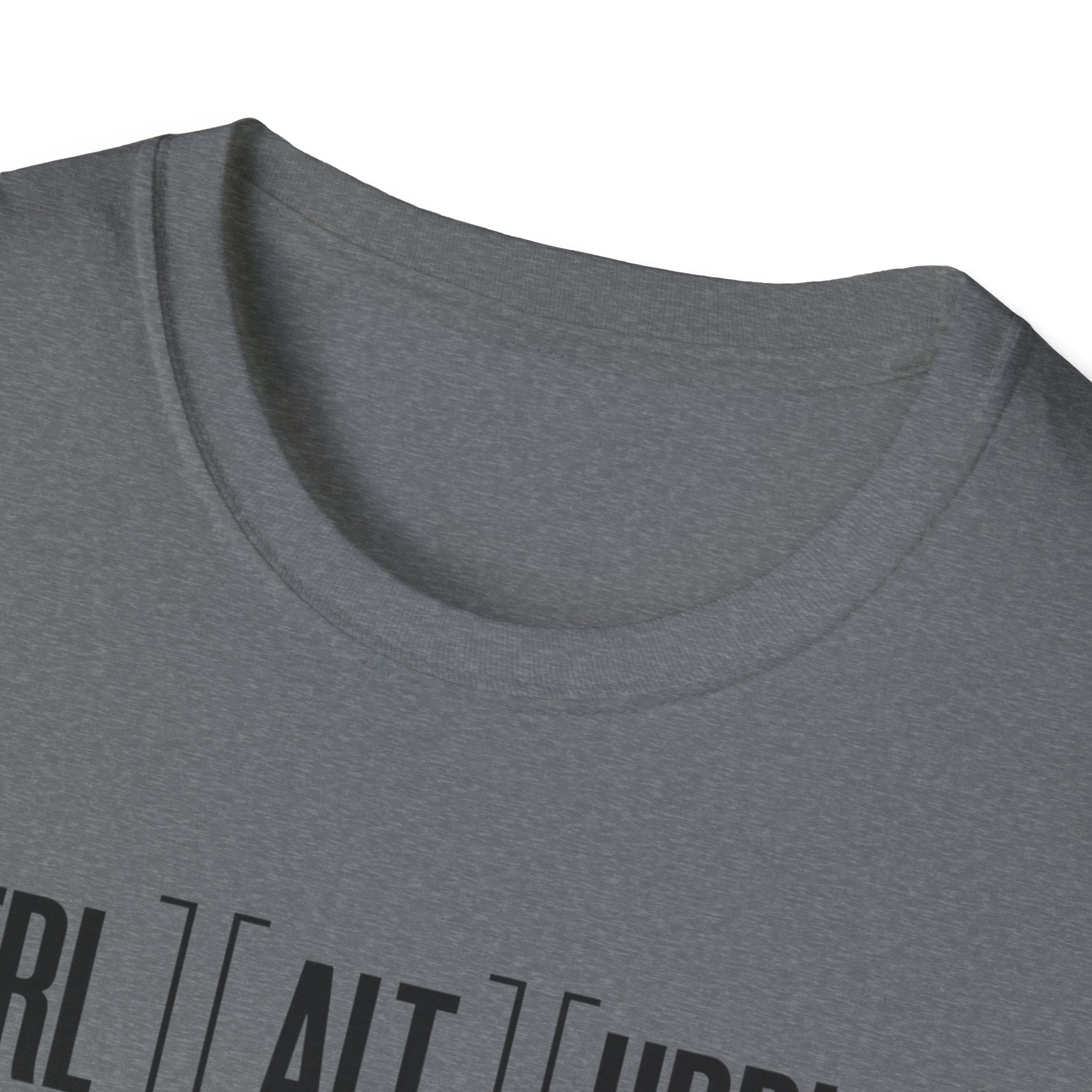 The System Crashed. You Didn't. T-Shirt