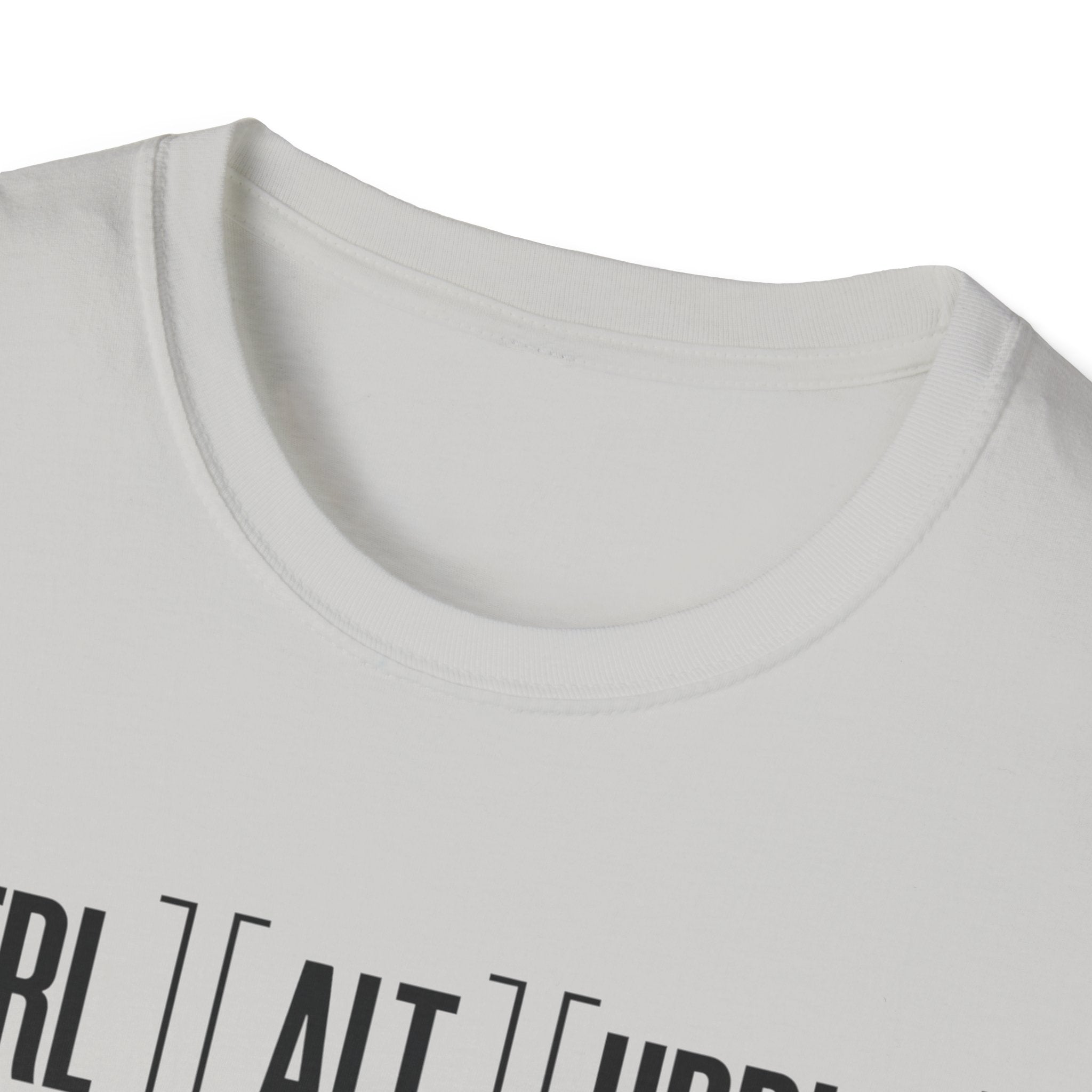 The System Crashed. You Didn't. T-Shirt