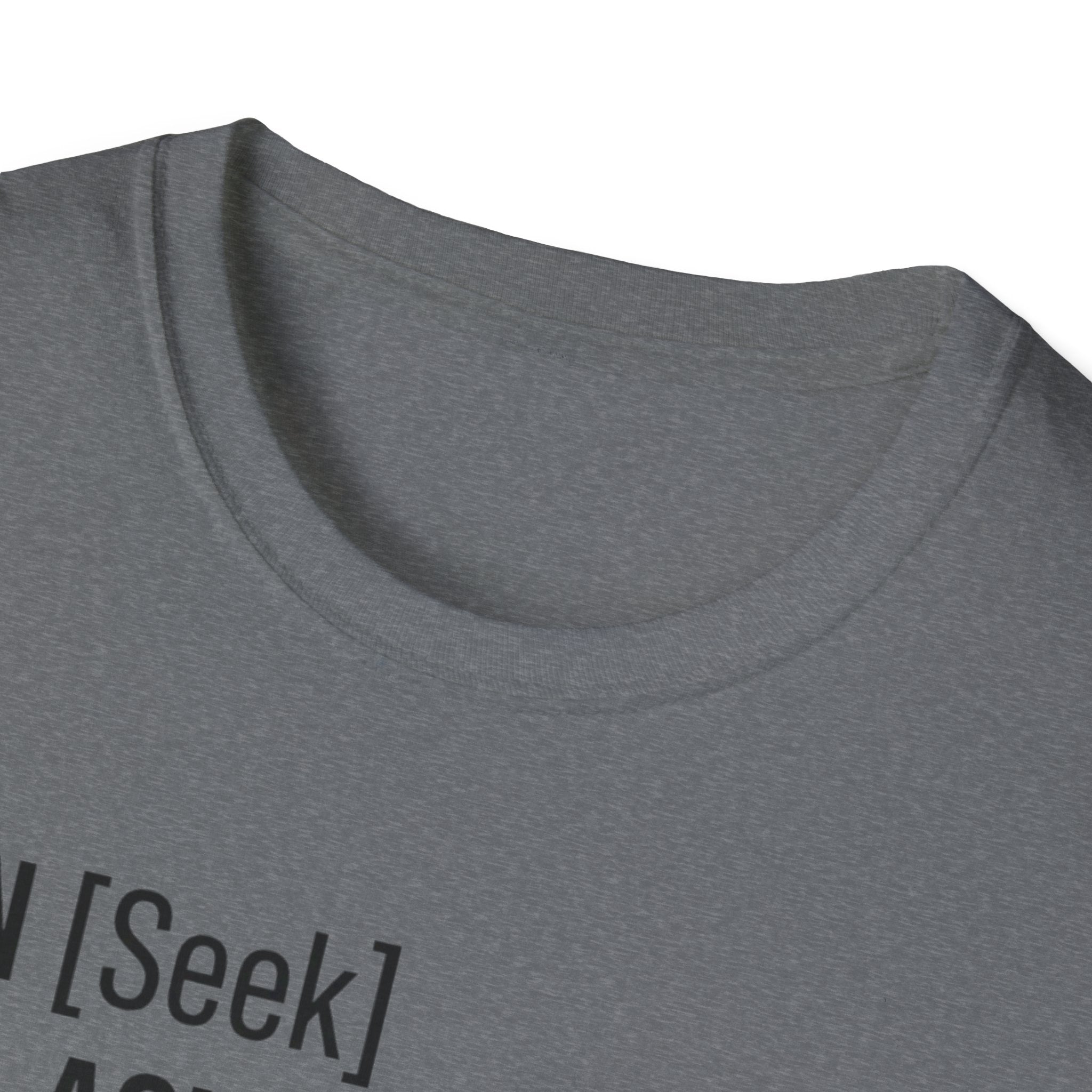 AUTHENTICATION SUCCESSFUL T-Shirt