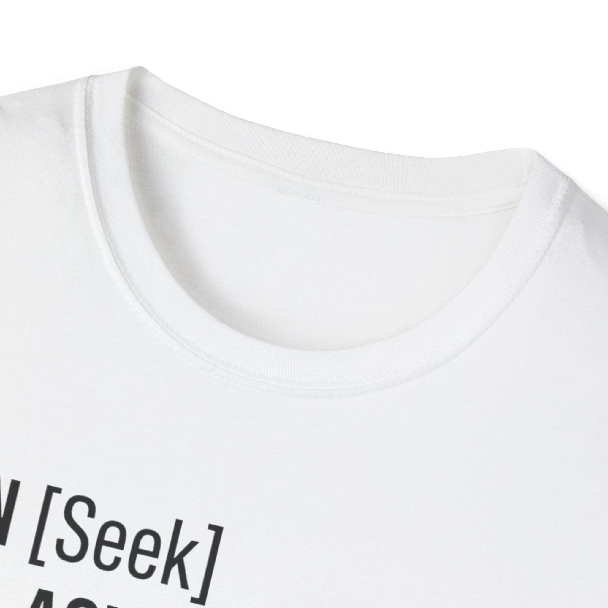 AUTHENTICATION SUCCESSFUL T-Shirt