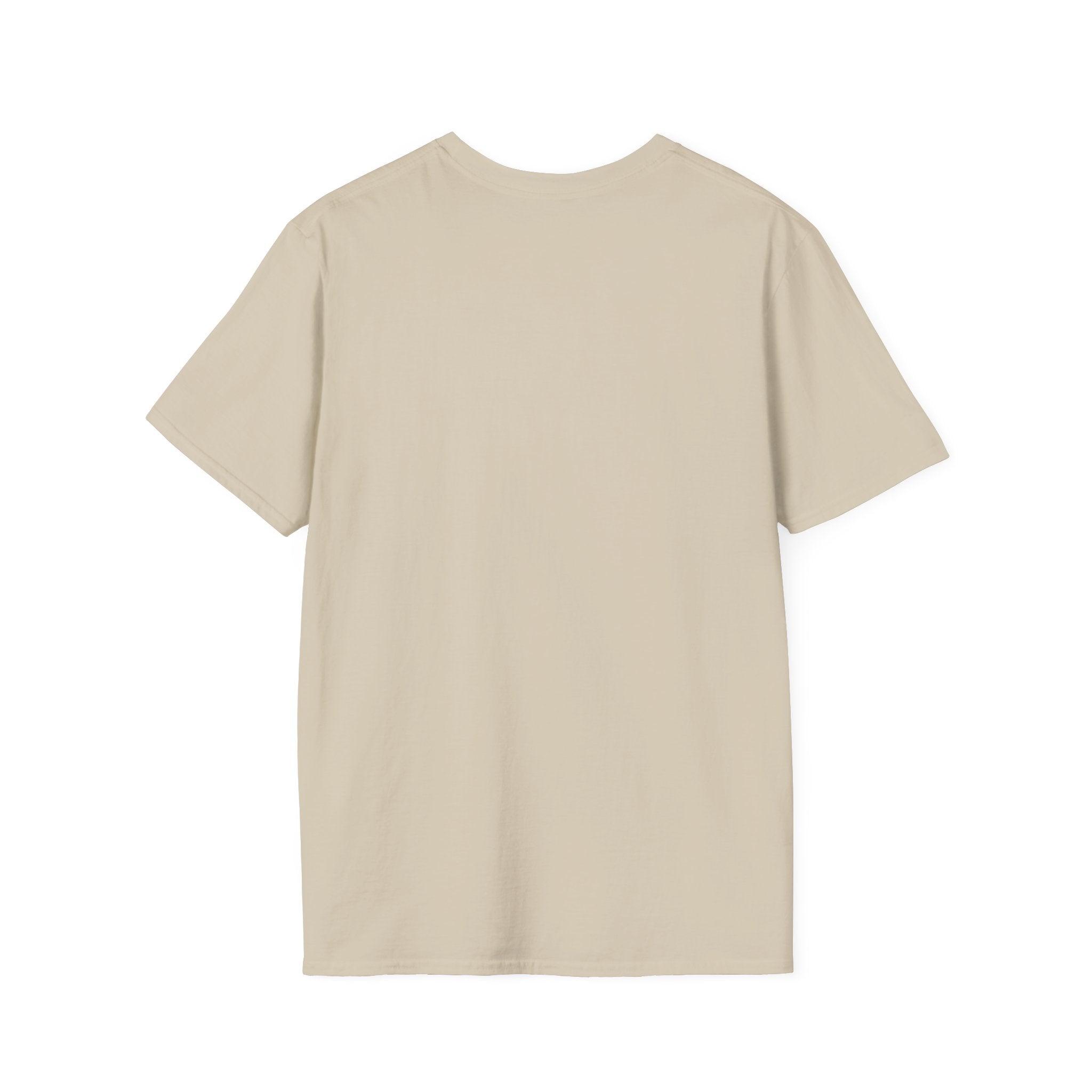 AUTHENTICATION SUCCESSFUL T-Shirt