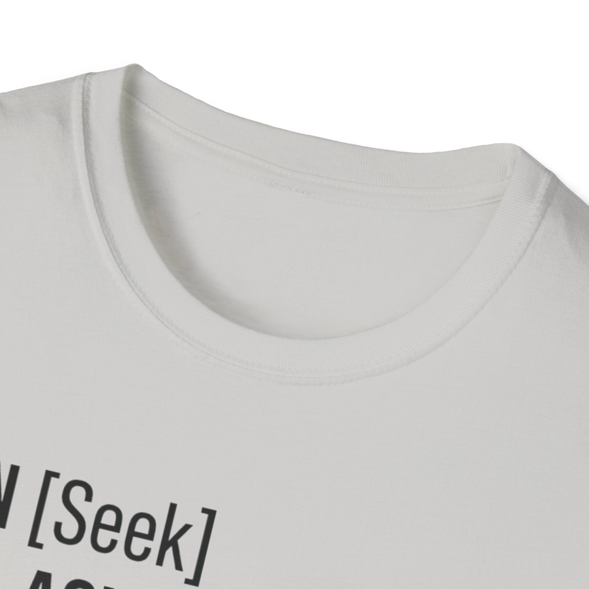 AUTHENTICATION SUCCESSFUL T-Shirt