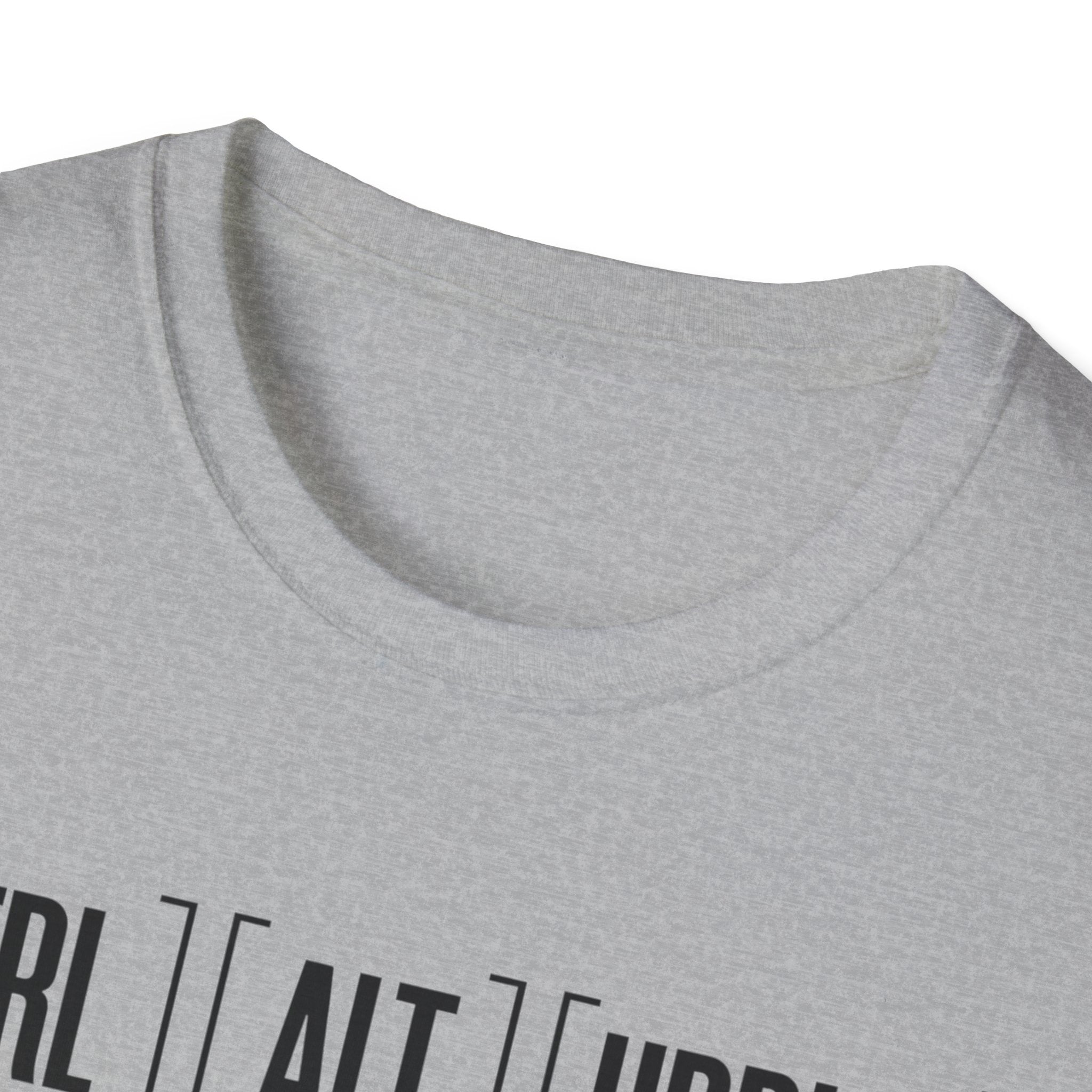 The System Crashed. You Didn't. T-Shirt