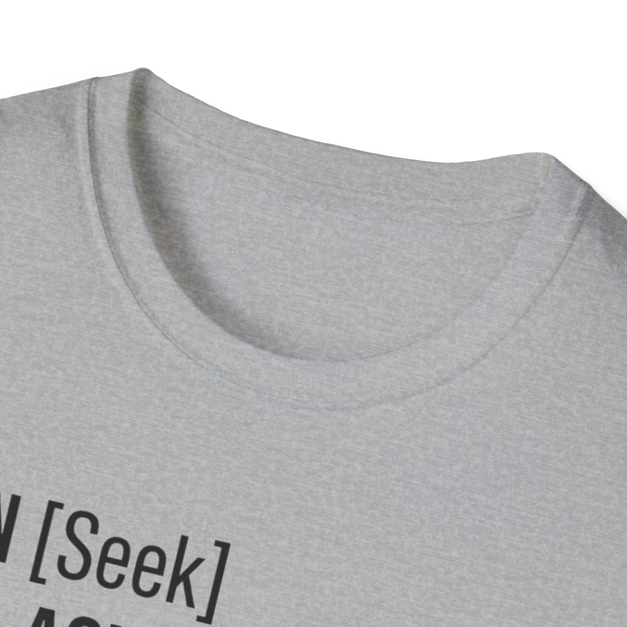 AUTHENTICATION SUCCESSFUL T-Shirt