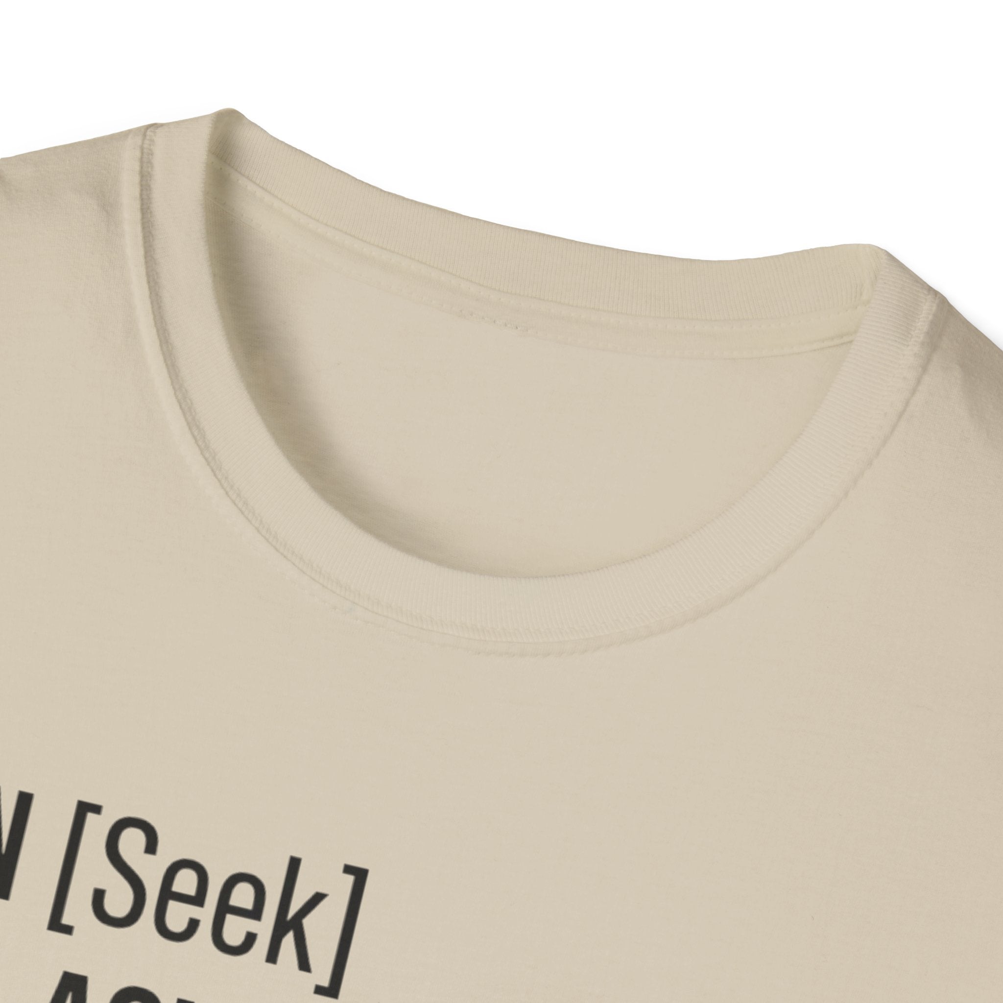 AUTHENTICATION SUCCESSFUL T-Shirt